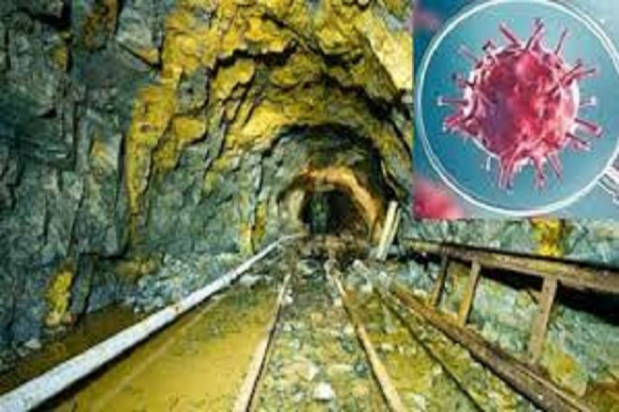 সোনার খনিতে করোনার হানা, ১৬৪ শ্রমিক আক্রান্ত