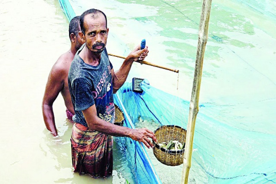 পেটের দায়ে স্কুল শিক্ষক বিরাম এখন দিনমজুর! 