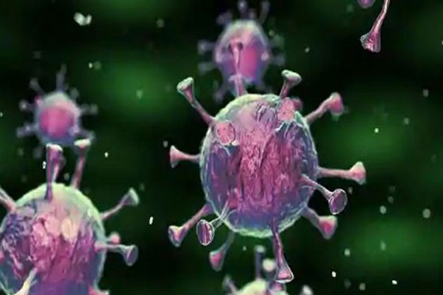 দেশের ৪ জেলায় করোনায় কেউ মারা যাননি