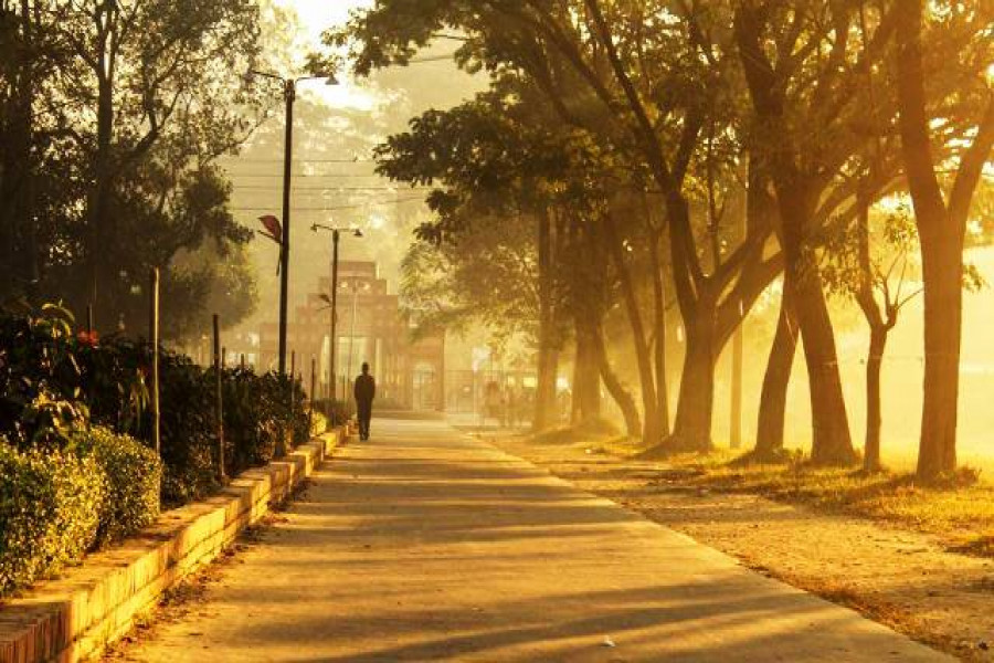 সাবিহা খানম একা