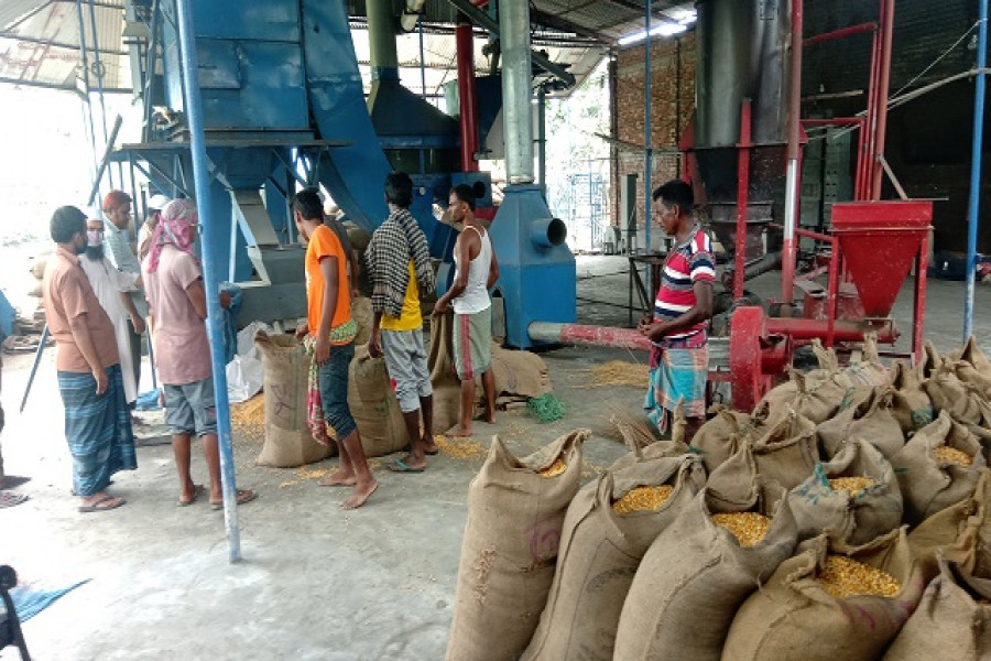 সাড়া ফেলেছে হাবিপ্রবি শিক্ষকের উদ্ভাবিত গ্রেইন ড্রায়ার 