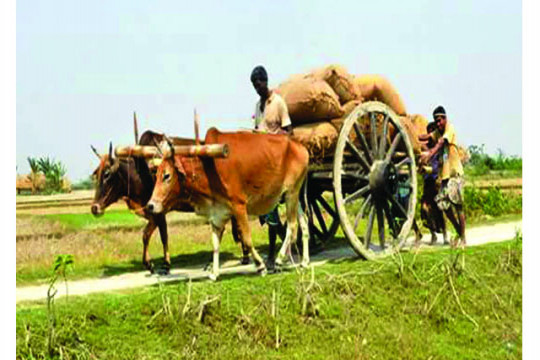 আধুনিকতার সংস্পর্শে হারিয়ে যাচ্ছে বাংলার ঐতিহ্য-সংস্কৃতি