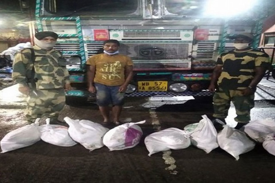 ভারতে পাচারের সময় ১২৬ কেজি বাংলাদেশি ইলিশ আটক করলো বিএসএফ 