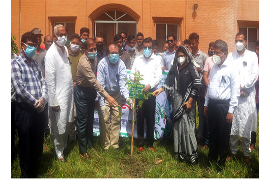 বৃক্ষরোপণ কর্মসূচি