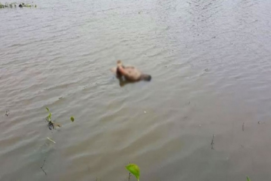 পুকুরে ভাসছিল দুই মাদ্রাসা ছাত্রের লাশ