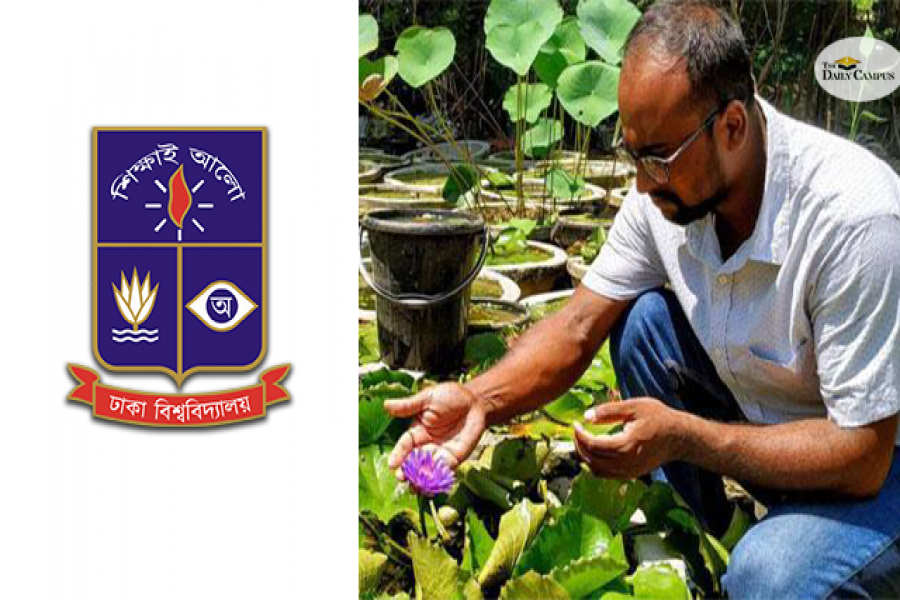 নিজের ফুল বাগানে ঢাবি গ্র্যাজুয়েট তানভীর