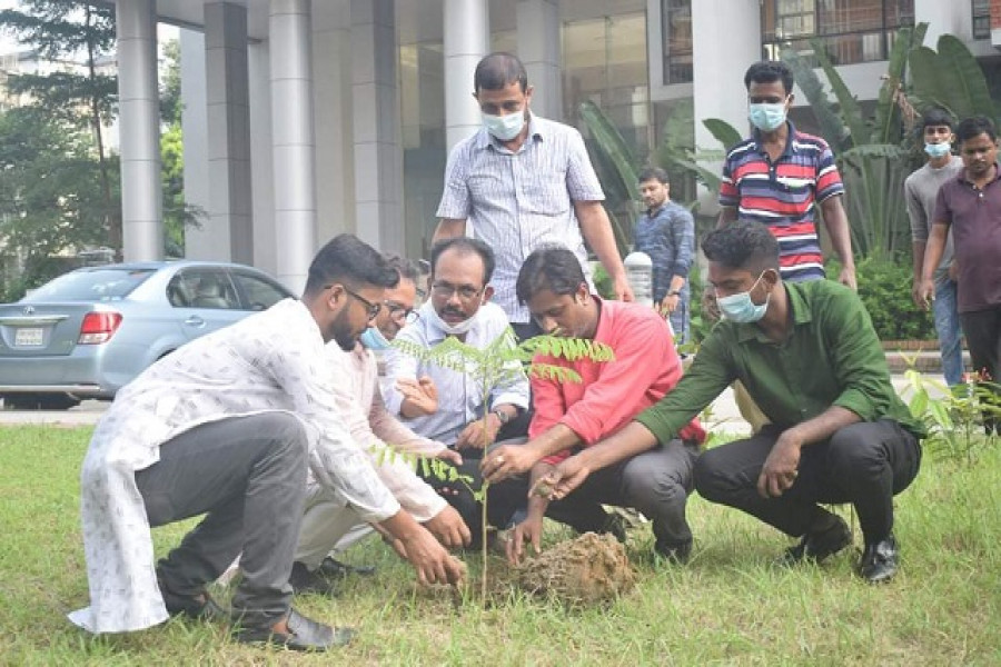 প্রধানমন্ত্রীর জন্মদিনে ৭৪টি বৃক্ষ রোপন করল কাউন্সিলর আসাদ