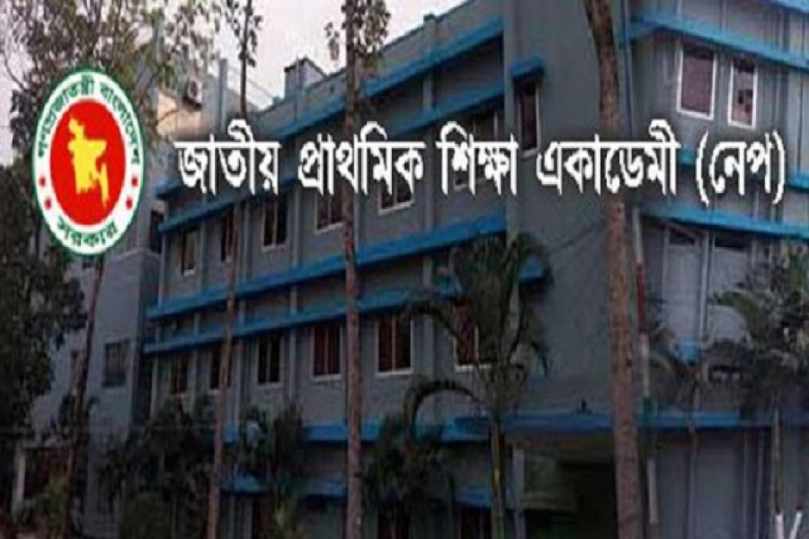 জাতীয় প্রাথমিক শিক্ষা একাডেমি (নেপ)