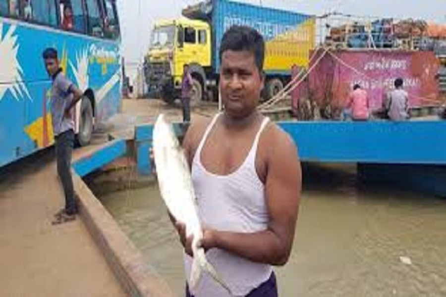 ইলিশ হাতে জেলে