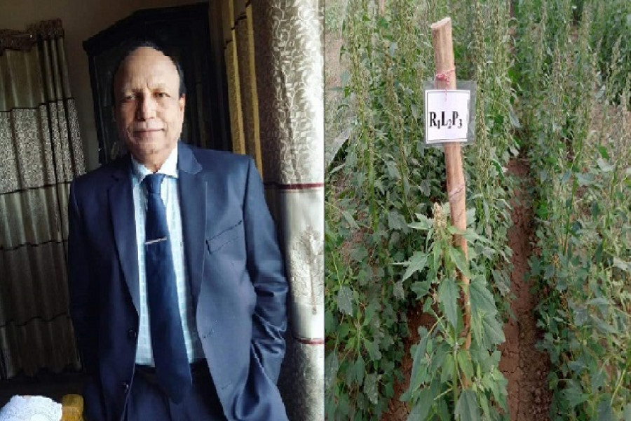 অধ্যাপক ড. পরিমল কান্তি বিশ্বাস ও ফসলের জাত