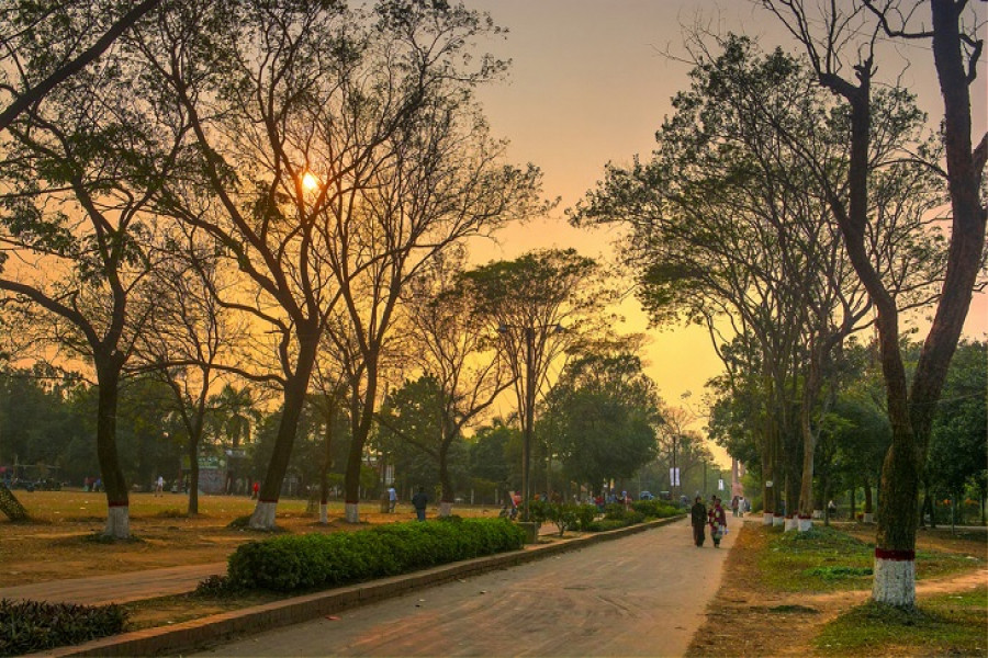 জাবি ক্যাম্পাস: কুয়াশার চাদরে নির্জনতার আবরণ