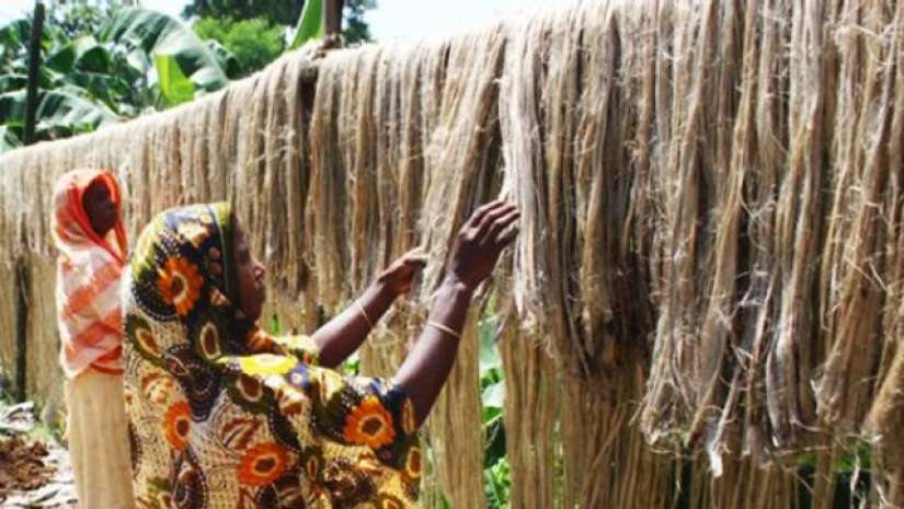 পাট গবেষণা ইনস্টিটিউটে চাকরির সুযোগ