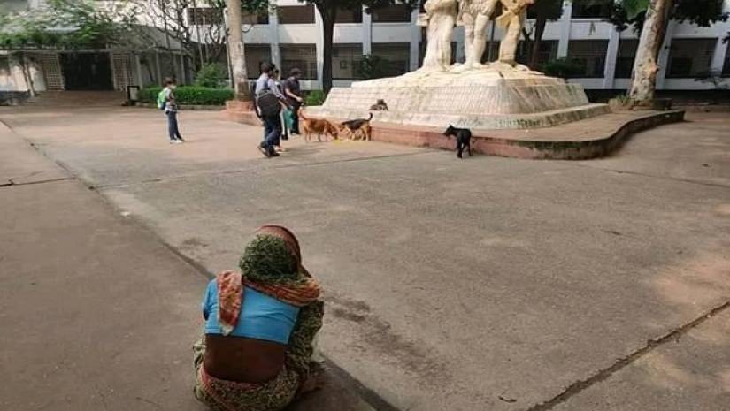 ‘তাদের কাছে মানুষের চেয়ে কুকুরের দাম বেশি’