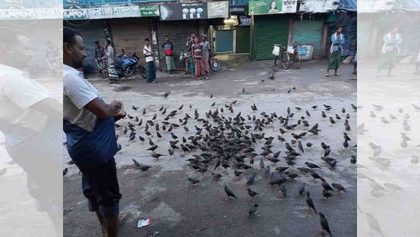 করোনার মধ্যে পাখির প্রতি এই ভালোবাসা বন্ধ হয়নি