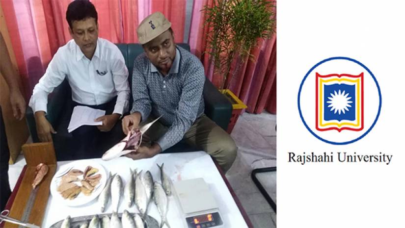 ইলিশ নিয়ে গবেষণায় রাবি অধ্যাপক মো. ইয়ামিন হোসেন