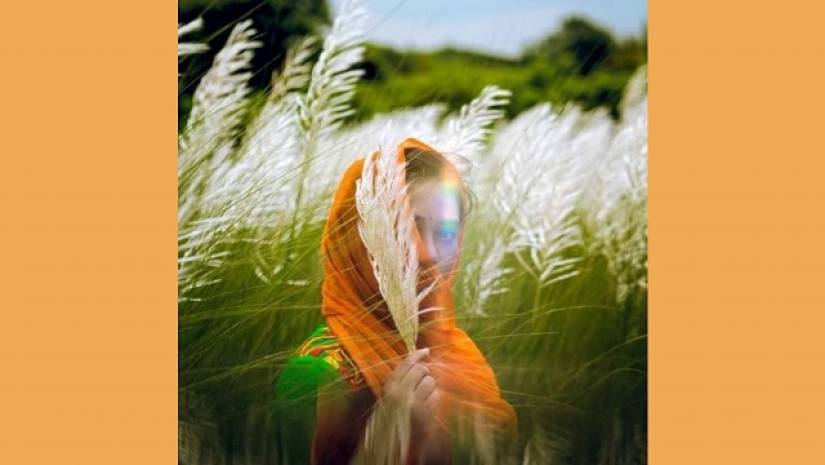 আশরাফুল আলম শোভনের ছবি  