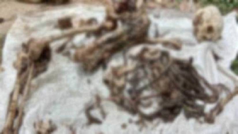 নিখোঁজ কলেজছাত্রীর কঙ্কাল উদ্ধার