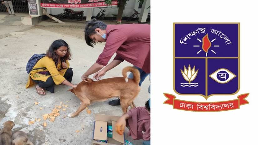 ঢাবিতে অ্যানিমেল ওয়েলফেয়ার ক্লাবের র‍্যাবিস ভ্যাক্সিন কর্মসূচি