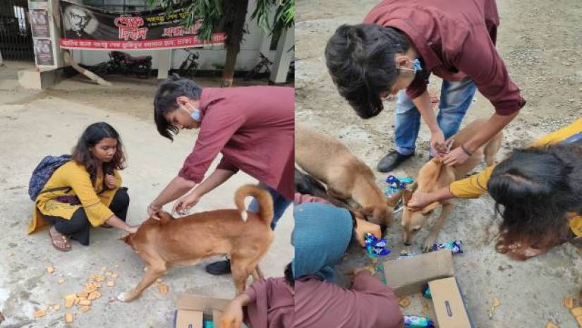 ঢাবিতে কুকুরদের ভ্যাক্সিন দিল বিশ্ববিদ্যালয়ের অ্যানিমেল ওয়েলফেয়ার ক্লাব
