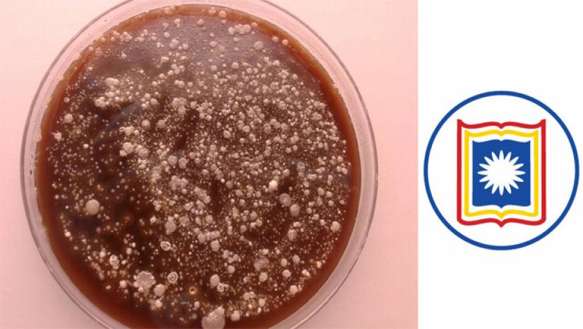 সুস্থ মানুষের লালায় নতুন জিন, নষ্ট করে অ্যান্টিবায়োটিকের কার্যকারিতা