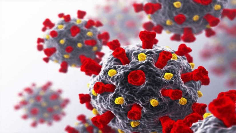 করোনায় আরও ২৯ জনের মৃত্যু, আক্রান্ত ১৭৮৮