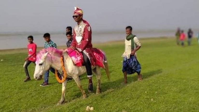 ঘোড়ায় চড়ে হাওড়ের চিকন পাড়ি দিয়ে বিয়ে করতে যান মনির হোসেন