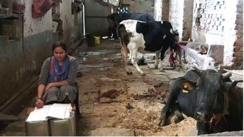 গোয়ালঘরে বসে পড়ায় ব্যস্ত সোনাল শর্মা