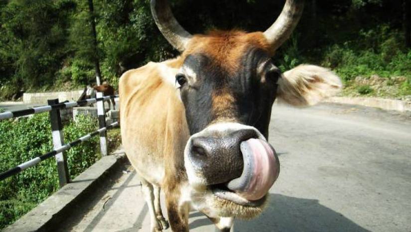 প্রতীকী