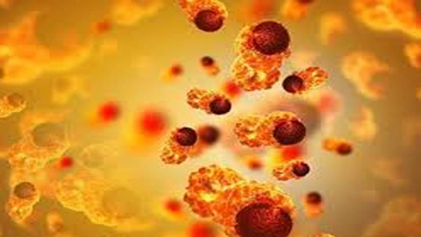 করোনা টিকার প্রথম ডোজের পর ‘কম সুরক্ষিত’ ক্যান্সার রোগীরা