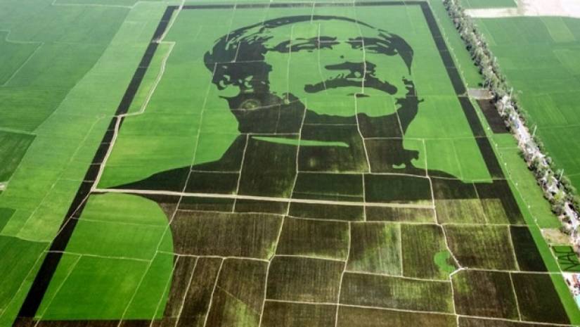 শস্যচিত্রে বঙ্গবন্ধু