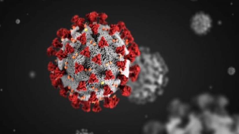 করোনা ভাইরাস