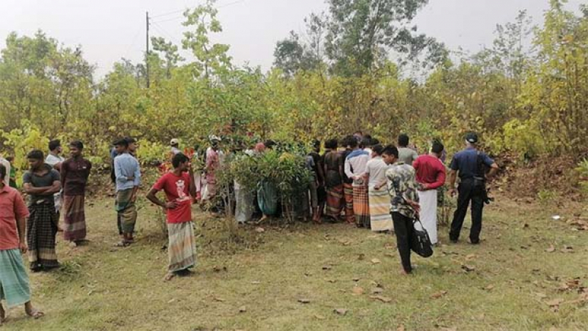 সাফারি পার্কে যুবক হত্যা রহস্য উদঘাটন, আটক ৩