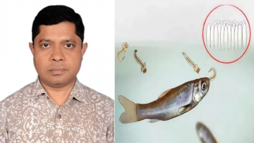  অধ্যাপক ড. হারুনুর রশীদ ও মশার লার্ভা খাচ্ছে মাছ