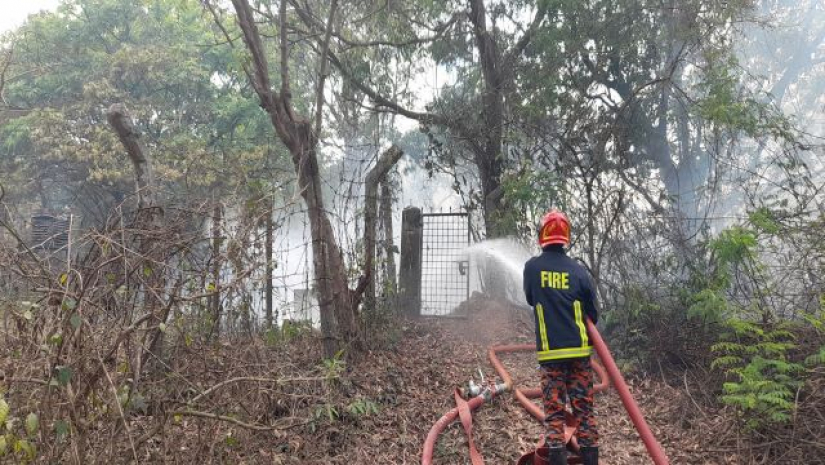 জাবির জঙ্গলে ভয়াবহ আগুন