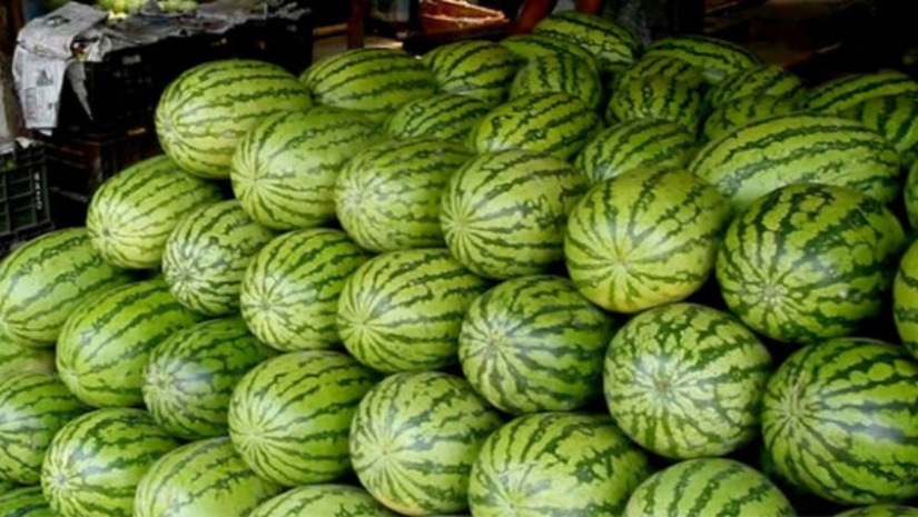 দাম বাড়িয়ে তরমুজ বিক্রি করায় কুষ্টিয়ায় ভ্রাম্যমাণ আদালতের জরিমানা