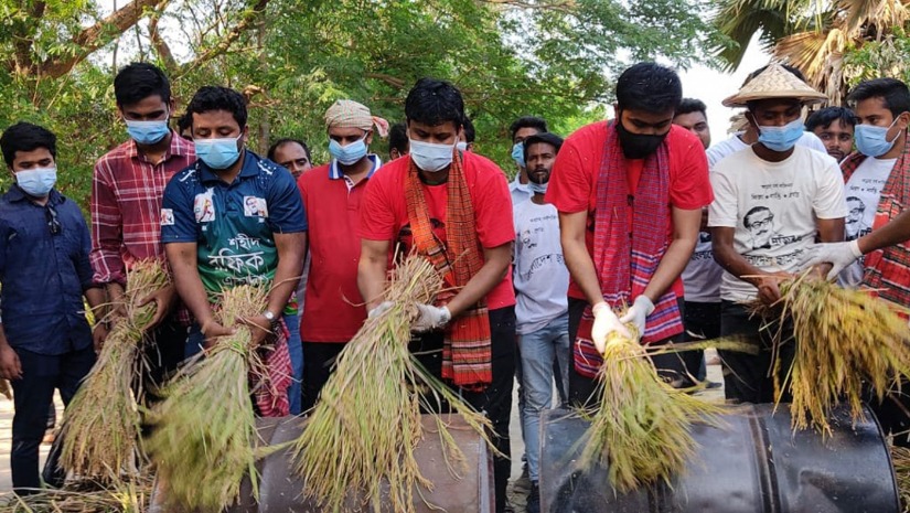 ধান কাটার পর তা মাড়াইয়ের কাজ করছেন ছাত্রলীগের সভাপতি ও সাধারণ সম্পাদক