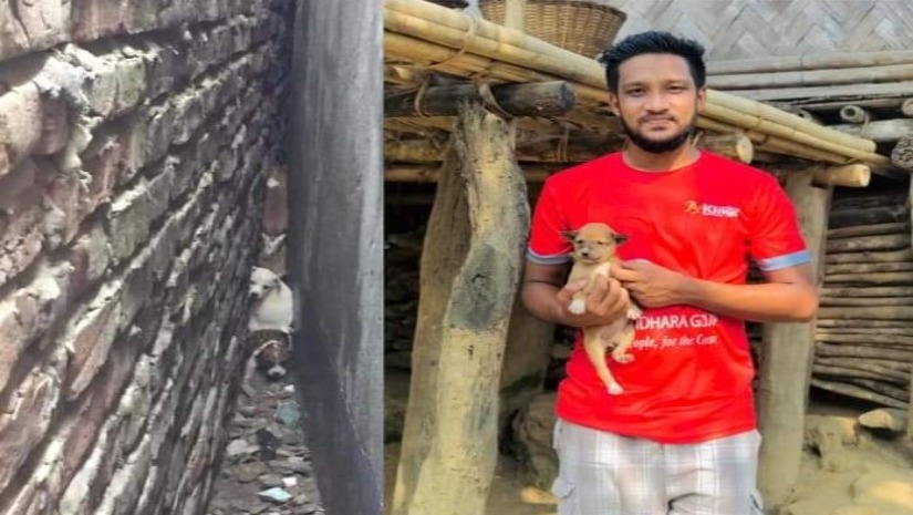 চট্টগ্রাম বিশ্ববিদ্যালয়ের শিক্ষার্থী পশুপ্রেমী হাসান মাহমুদ আরাফাত