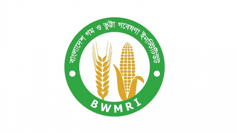 বাংলাদেশ গম ও ভুট্টা গবেষণা ইনস্টিটিউট