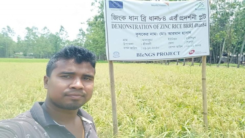 নিজের চাষ করা ধানক্ষেতে জগন্নাথ বিশ্ব‌বিদ্যাল‌য়ের শিক্ষার্থী আরমান হাসান