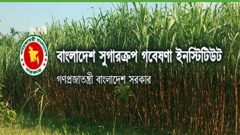 সুগারক্রপ গবেষণা ইনস্টিটিউটে চাকরি, নেবে ৩৭ জন