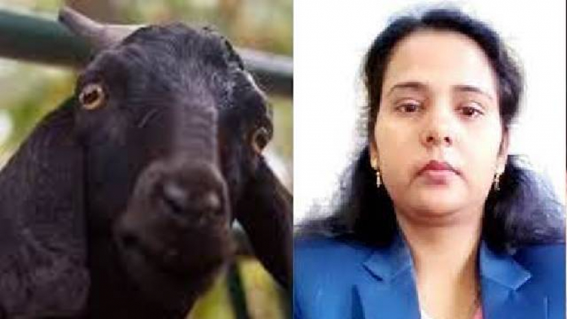 ছাগলকাণ্ডে বদলি হলেন সেই ইউএনও