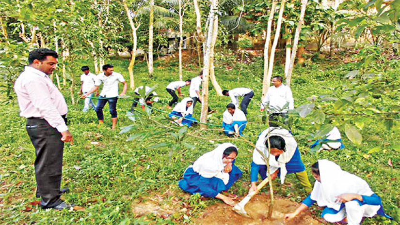 শিক্ষাপ্রতিষ্ঠানগুলোকে ৫০ টি করে গাছের চারা রোপনের নির্দেশ