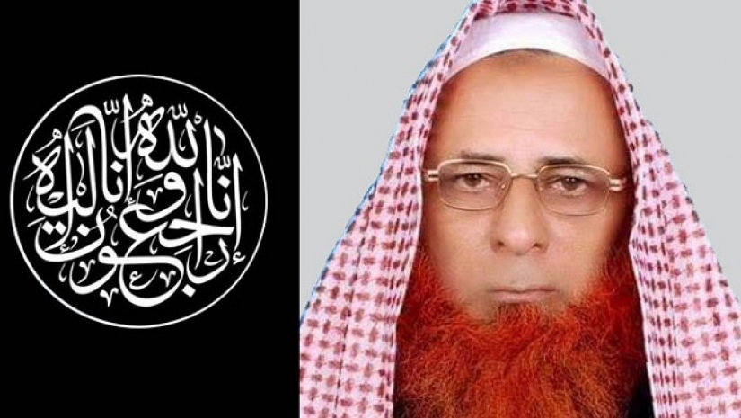 মাওলানা হাবিবুল্লাহ আনসারি