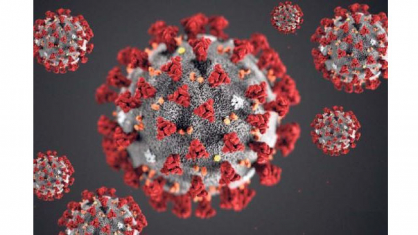 করোনাভাইরাসে