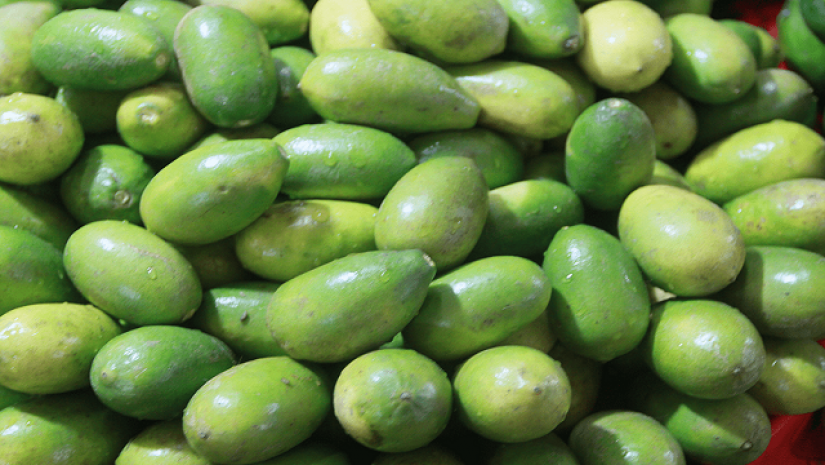 লেবু