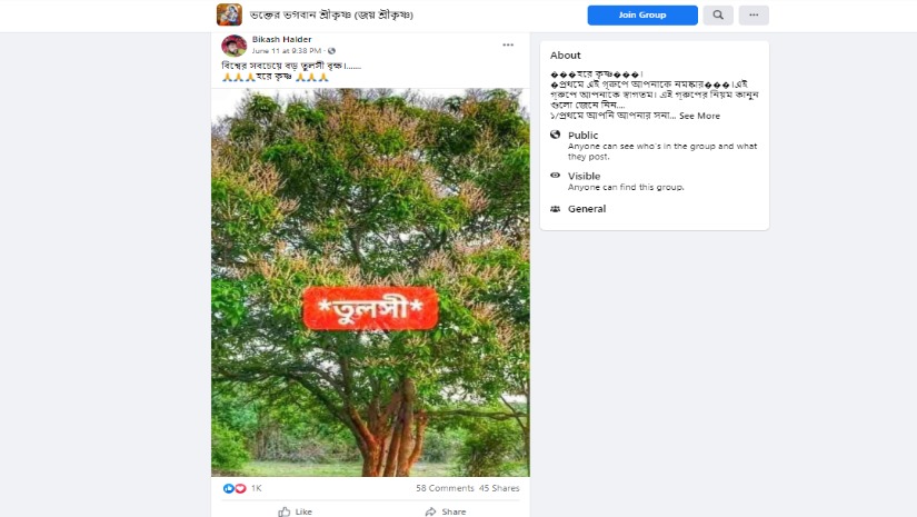 সবচেয়ে বড় তুলসী গাছ দাবি করা ভুল ছবি সংবলিত পোস্ট
