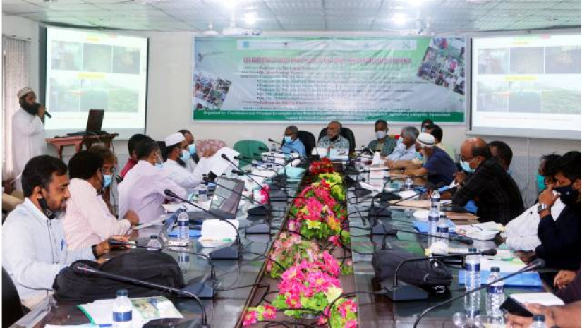 অল্প দানাদার খাদ্যেই ভেড়ার অধিক মাংস উৎপাদন সম্ভব