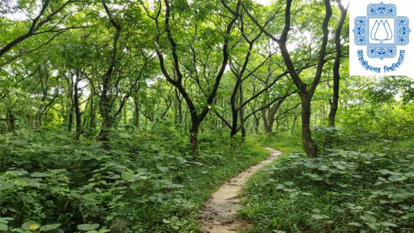 জাহাঙ্গীরনগর বিশ্ববিদ্যালয় ক্যাম্পাস