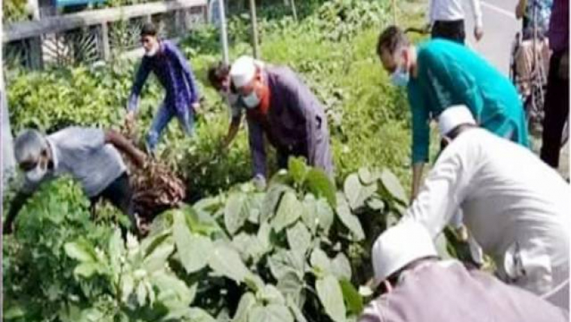 ক্যাম্পাস পরিচ্ছন্নতা কার্যক্রম শুরু করেছে হাবিপ্রবি