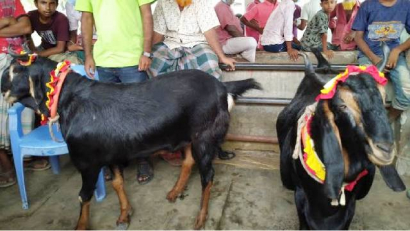 বাজারে ‘মেসি-নেইমার’, দাম হাঁকা হয়েছে পাঁচ লাখ